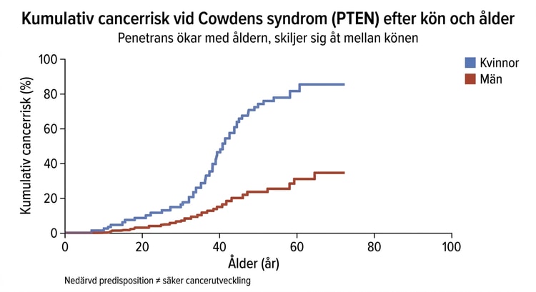 Kaplan–Meier-kurva över kumulativ cancerrisk hos kvinnor och män med Cowdens syndrom.