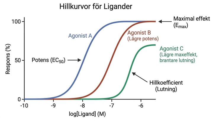 Hillkurvor för ligander med olika potens, maximal effekt och branthet.