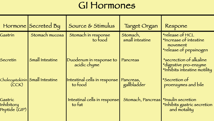 Översikt över gastrointestinala hormoners produktionslokaler och effekter.