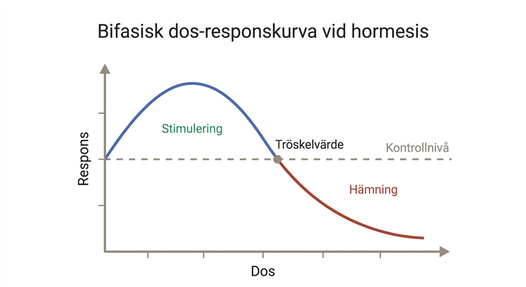 Biphasisk hormetisk dos–responskurva med lågdosstimulering och högdoshämning.