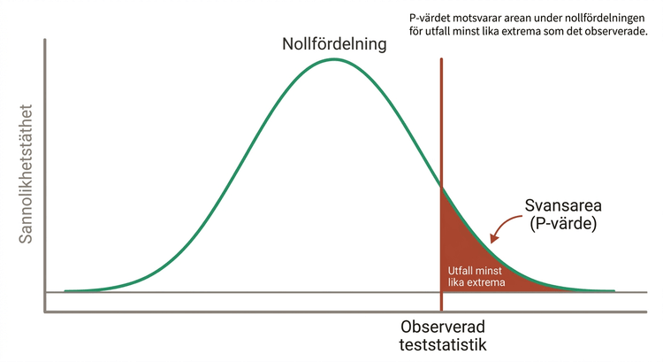 Nollfördelning med observerad teststatistik och markerad svansarea
