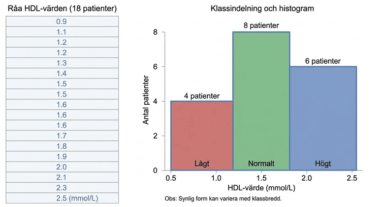 Råa HDL-värden från 18 patienter visas tillsammans med klassindelning och histogram.