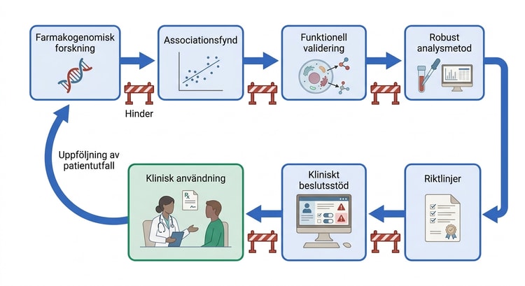 Schematisk framställning av steg och hinder från farmakogenomisk forskning till klinisk användning.