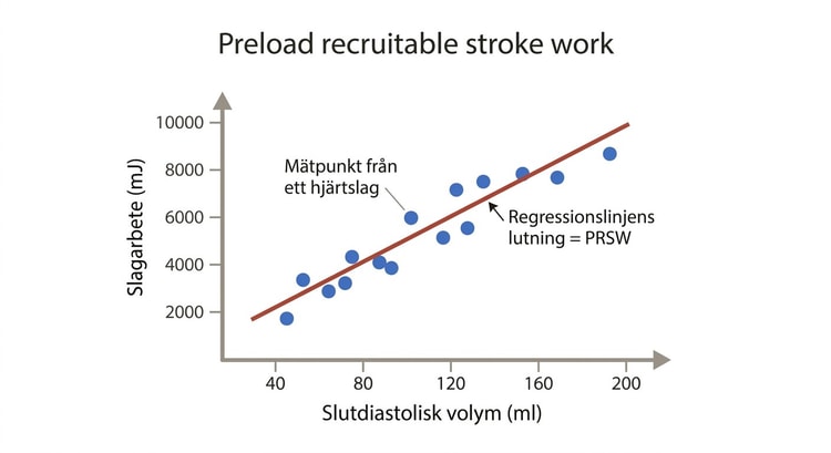 Diagram över relationen mellan preload och slagvolymarbete