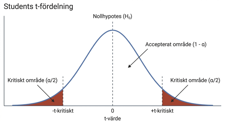 Students t-fördelning med kritiska områden för ett tvåsidigt test