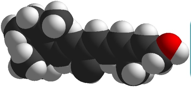 Rymdfyllnadsmodell av en vitamin A-molekyl