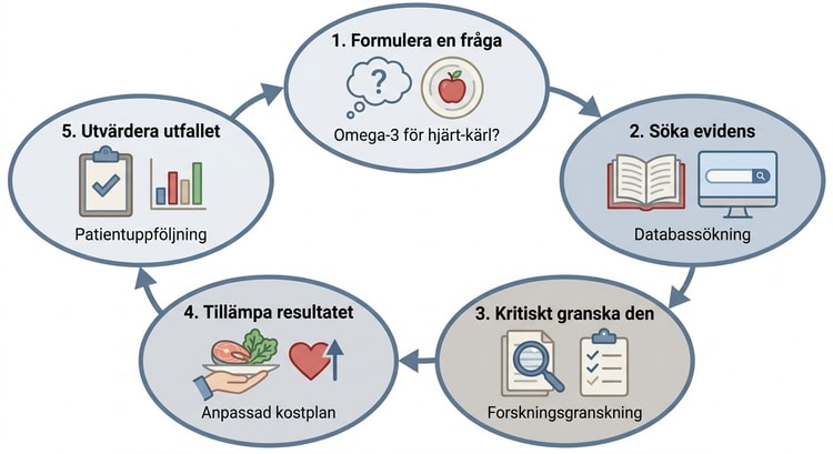 Arbetscykel för evidensbaserad praxis med ett nutritionsexempel