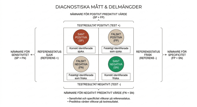 Visualisering av delmängderna sant positiva, falskt positiva, sant negativa och falskt negativa samt nämnarna för diagnostiska mått.
