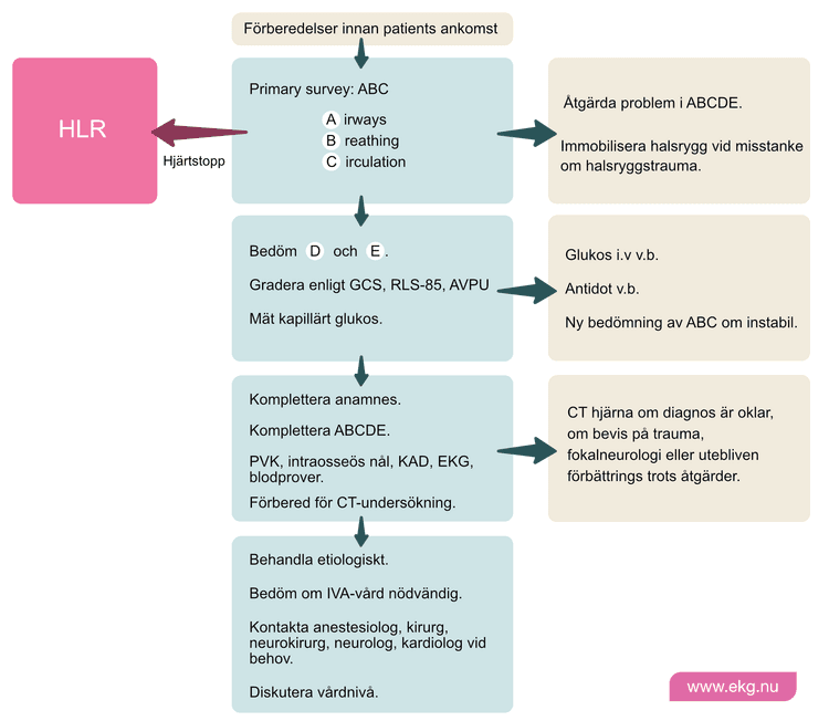 Schematisk översikt över ABCDE-bedömning vid trauma och medvetandesänkning med orsaker och åtgärder