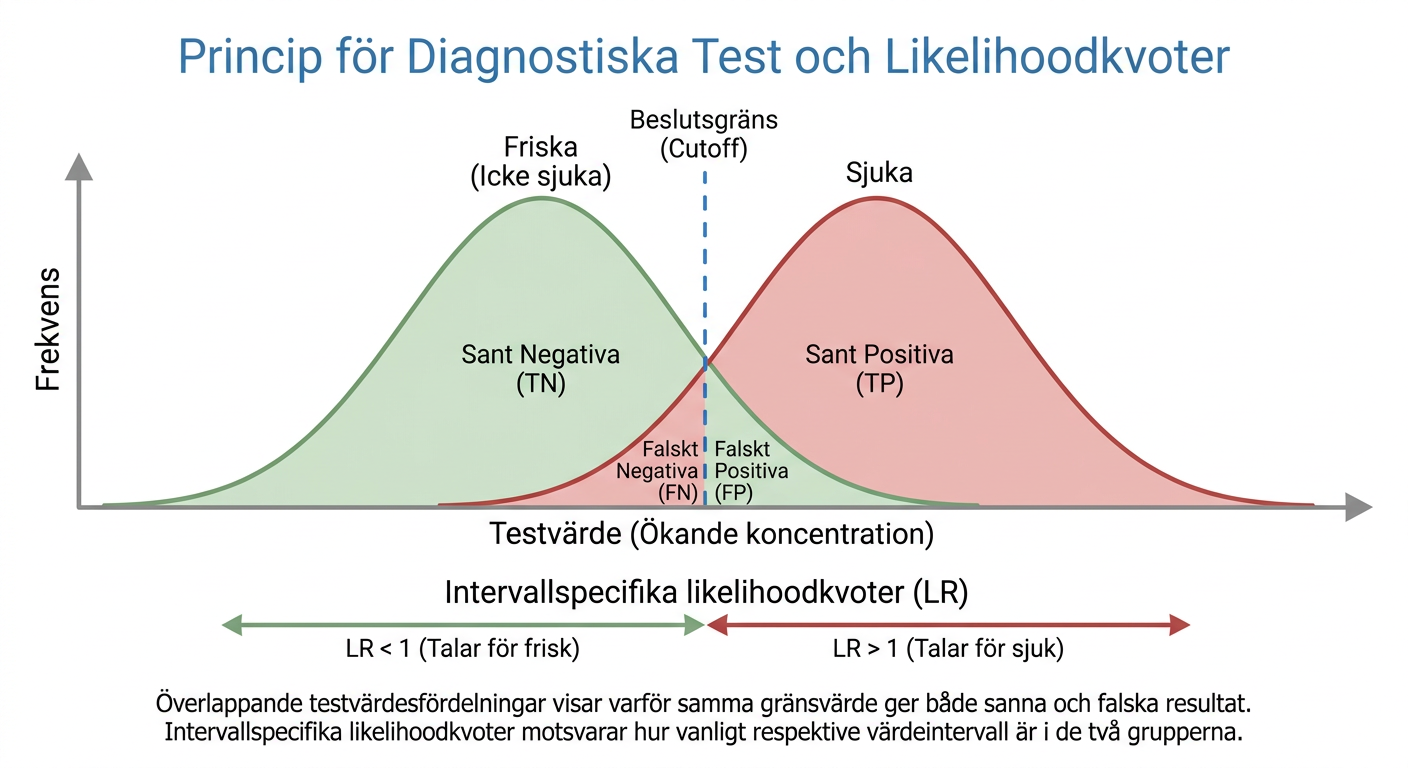 Två överlappande fördelningar för sjuka och icke sjuka med en vertikal beslutsgräns och områden för sanna och falska testresultat.