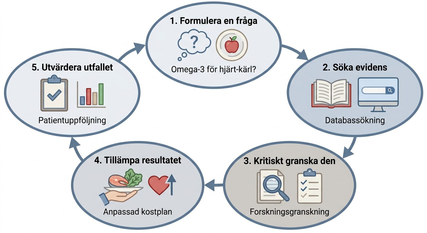Arbetscykel för evidensbaserad praxis med ett nutritionsexempel