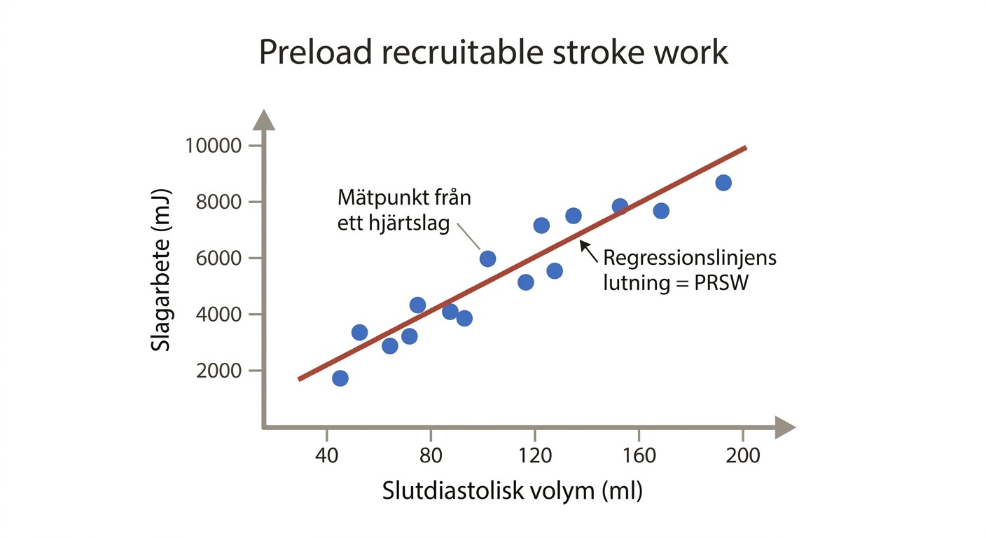 Relation mellan slagarbete och slutdiastolisk volym under varierad preload.