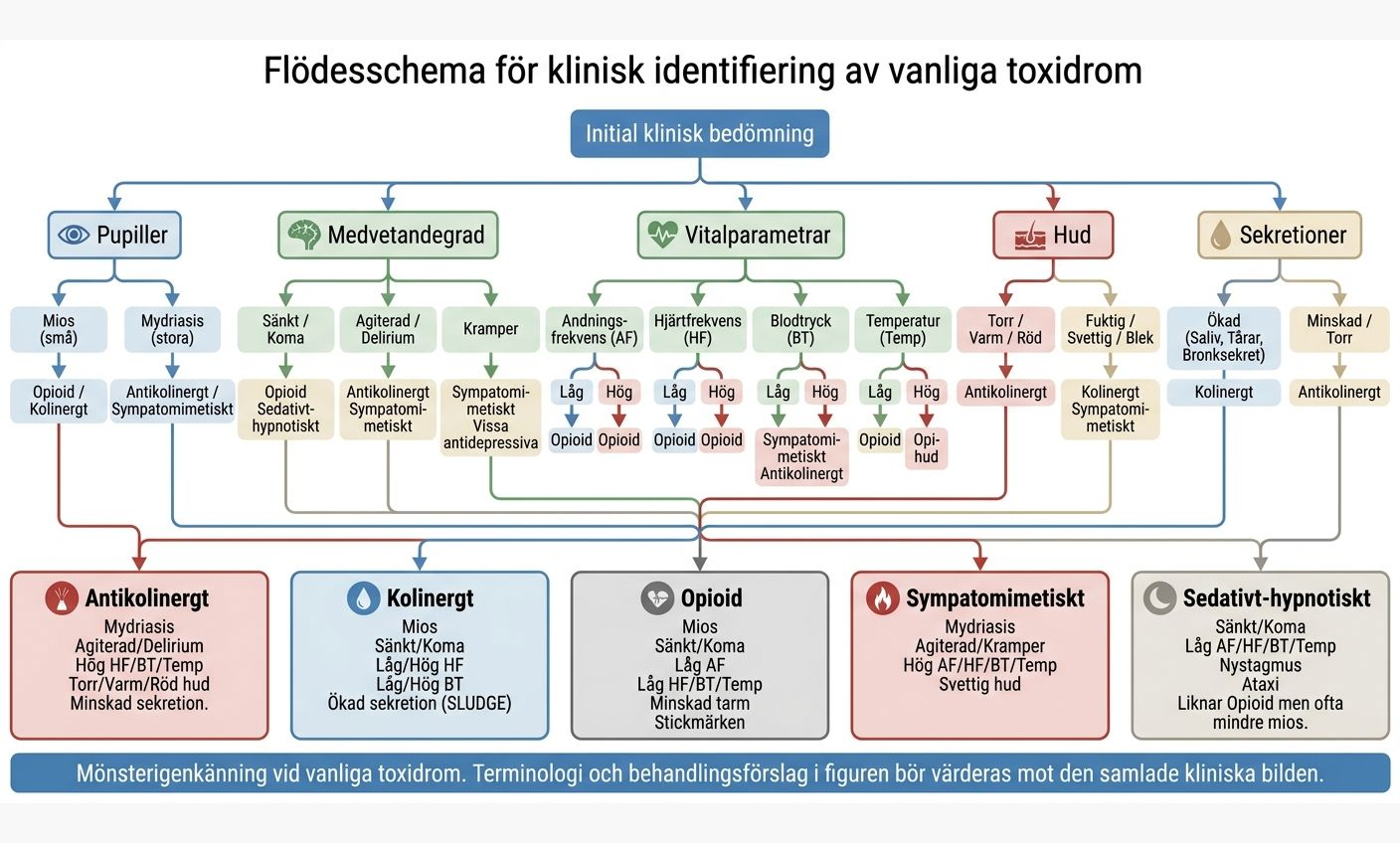 Flödesschema för klinisk identifiering av vanliga toxidrom utifrån pupiller, medvetandegrad, vitalparametrar, hud och sekretioner.