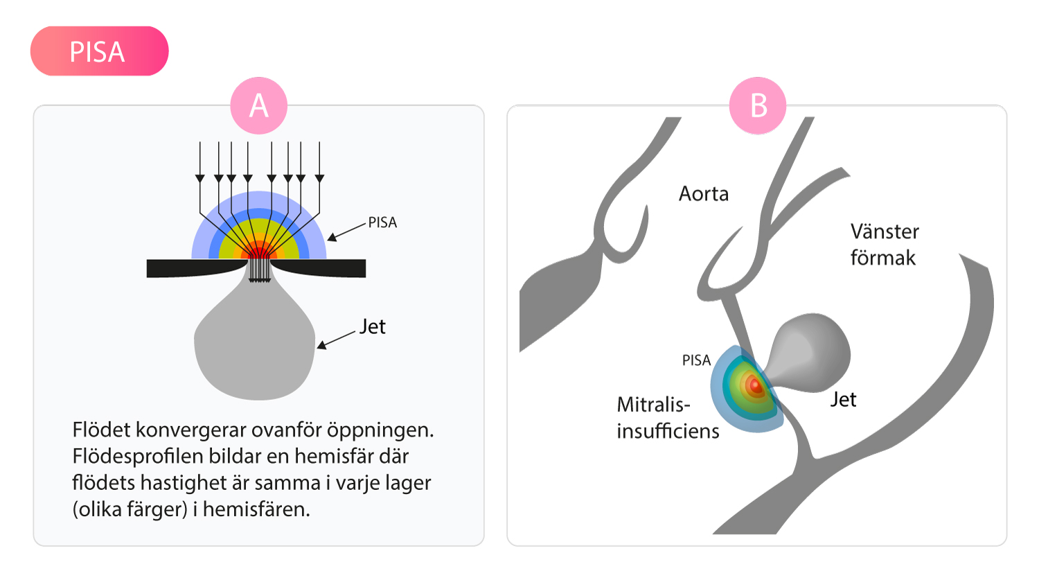 Goofy va toda Debbi jinsiy aloqa